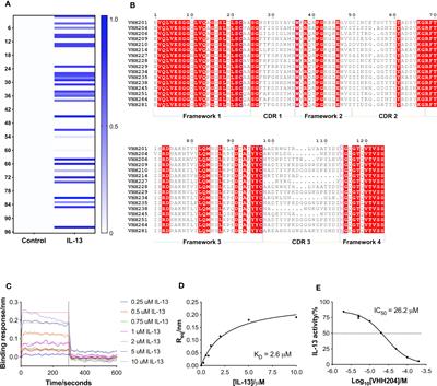 Identification and characterisation of anti-IL-13 inhibitory single domain antibodies provides new insights into receptor selectivity and attractive opportunities for drug discovery